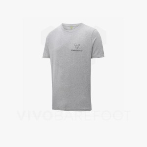 Camiseta Vivobarefoot Rapanui Naturally Coloured T-shirt Hombre Gris | CL279TL