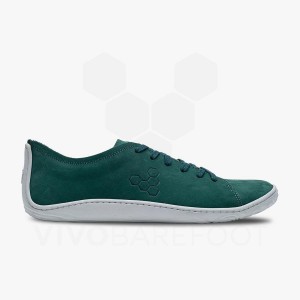 Zapatillas Lifestyle Vivobarefoot Addis Hombre Verde | CL312MM