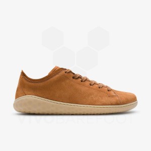 Zapatillas Lifestyle Vivobarefoot Geo Court III Mujer Marrones | CL148UK