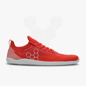 Zapatillas Running Carretera Vivobarefoot Primus Lite Knit Mujer Rojas | CL215FU