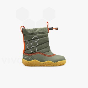 Zapatos Vivobarefoot Lumi FG Toddler Niños Verde | CL037BA