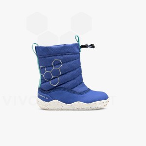 Zapatos Vivobarefoot Lumi X Arctic Angels Toddler Niños Azules | CL018UK