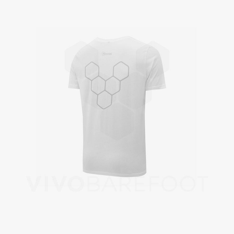 Camiseta Vivobarefoot Rapanui Hombre Blancas | CL276WH