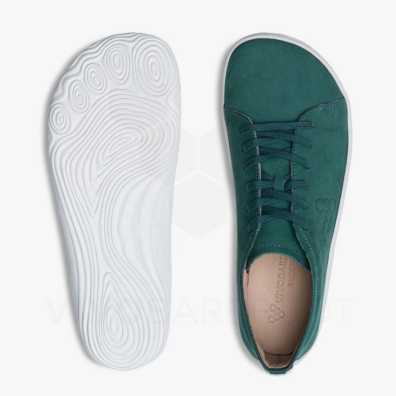 Zapatillas Lifestyle Vivobarefoot Addis Hombre Verde | CL312MM