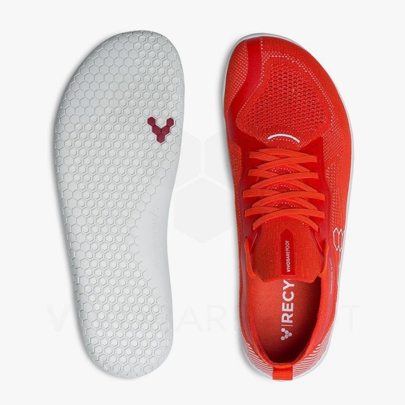 Zapatillas Running Carretera Vivobarefoot Primus Lite Knit Mujer Rojas | CL215FU