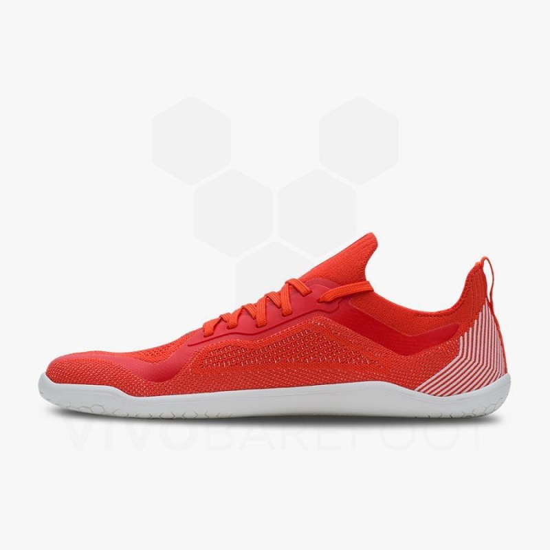 Zapatillas Training Vivobarefoot Primus Lite Knit Hombre Rojas | CL340KW