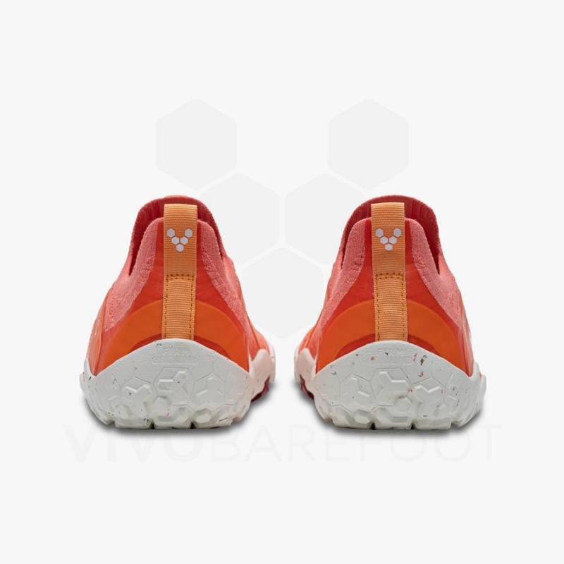 Zapatillas de Senderismo Vivobarefoot Primus Trail Knit FG Mujer Rojas | CL259NN