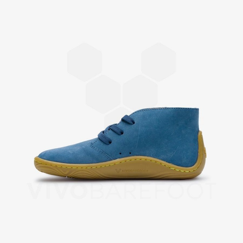 Zapatos Vivobarefoot Gobi Addis Juniors Niños Indigo | CL009DO