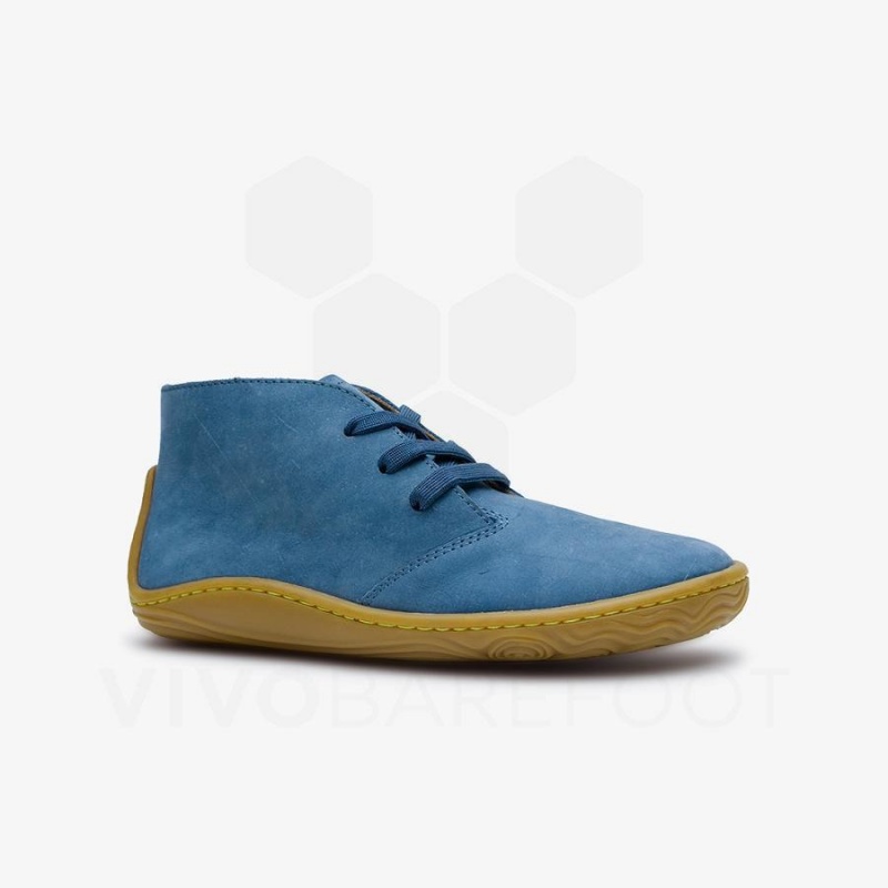 Zapatos Vivobarefoot Gobi Addis Juniors Niños Indigo | CL009DO