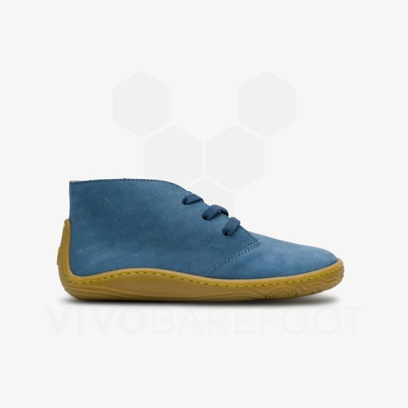 Zapatos Vivobarefoot Gobi Addis Juniors Niños Indigo | CL009DO