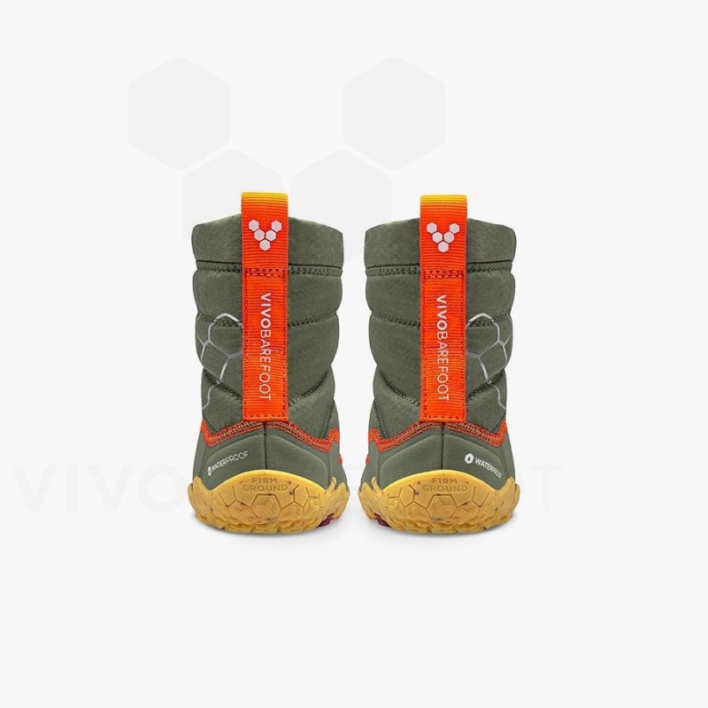 Zapatos Vivobarefoot Lumi FG Toddler Niños Verde | CL037BA