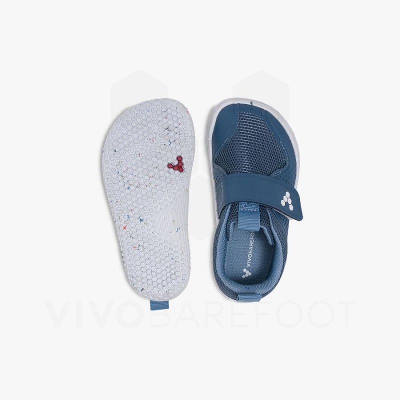 Zapatos Vivobarefoot Primus Deporte III Toddler Niños Indigo | CL071TL