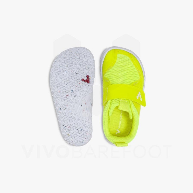 Zapatos Vivobarefoot Primus Deporte III Toddler Niños Limón | CL070UK