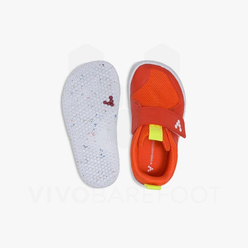 Zapatos Vivobarefoot Primus Deporte III Toddler Niños Rosas | CL069VJ