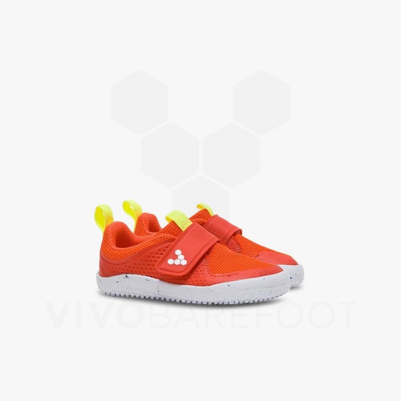 Zapatos Vivobarefoot Primus Deporte III Toddler Niños Rosas | CL069VJ