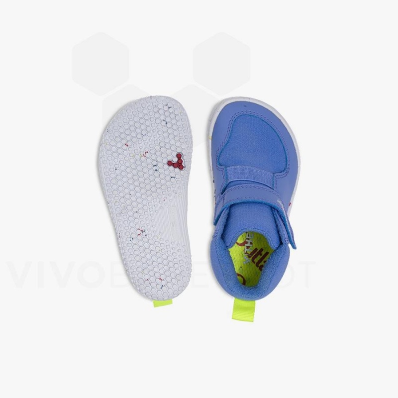 Zapatos Vivobarefoot Primus Ludo Hi Toddler Niños Azules | CL033FU