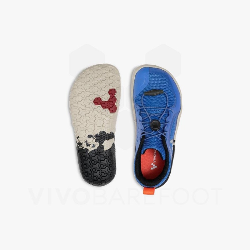 Zapatos Vivobarefoot Primus Trail II FG Preschool Niños Azules | CL088CP